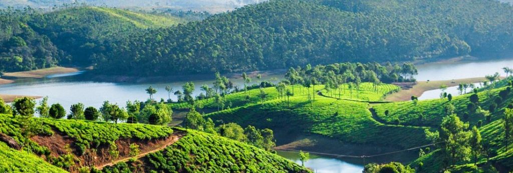 15 One Day Trip Places In Kerala Tourist Places In Kerala For One Day Trip Sotc