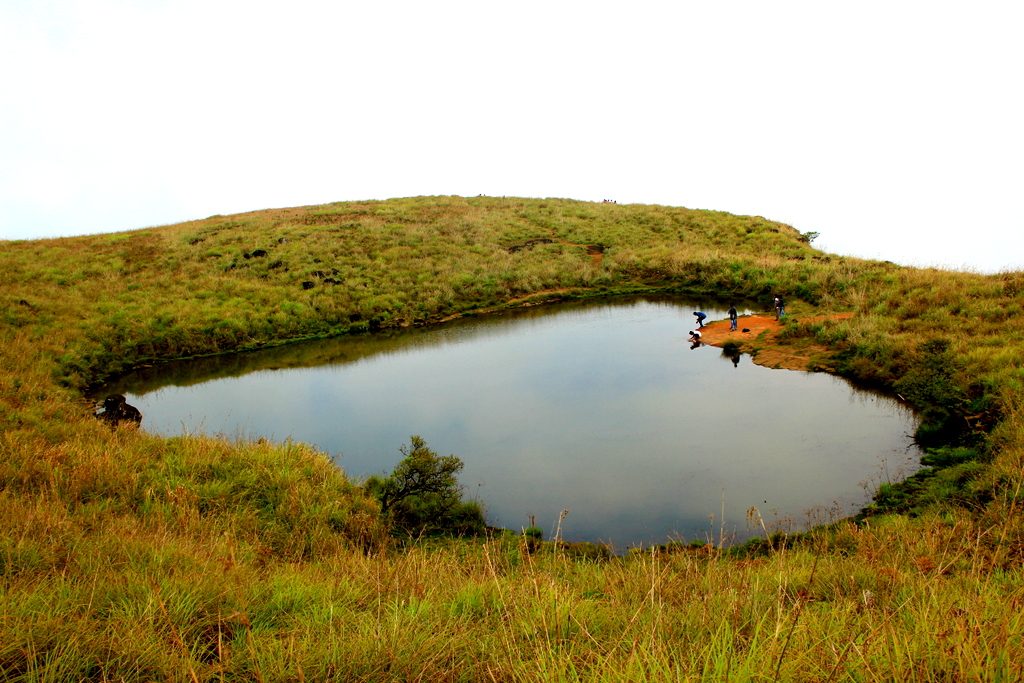 Wayanad The Idyllic Land Of Your Dreams Sotc Blog - 